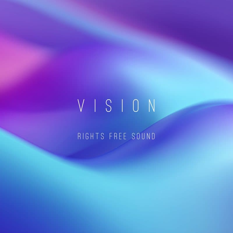 Vision